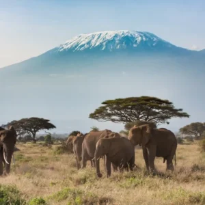 Africa