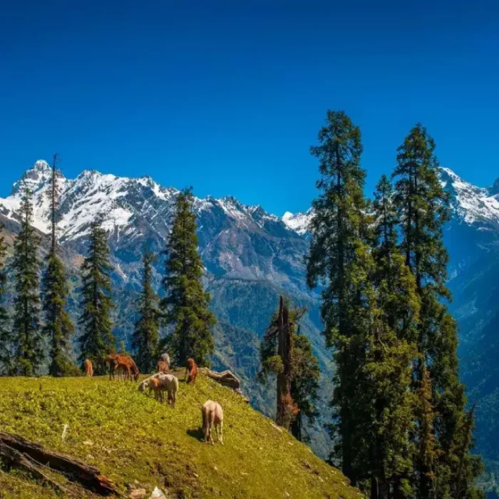 Himachal